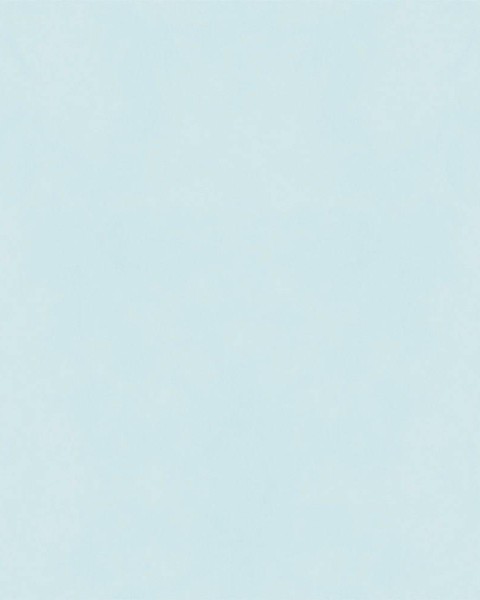 Hatte Me! Palette | 10 Soda